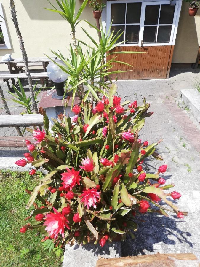 Penzion Baltazar Liptovska Luzna Ngoại thất bức ảnh